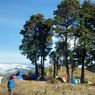 Gunung Prau via Dieng Buka, Catat Syarat Pendakiannya