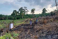 Lagi, Polisi Tangkap Terduga Pelaku Pembakaran Hutan dan Lahan di Riau