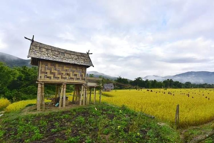 Kabupaten Luwu Utara.