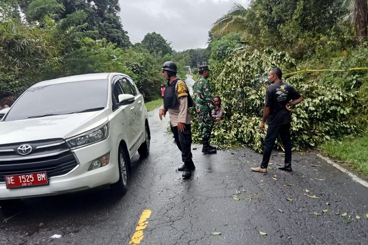 Pohon Cengkih dan Pala Ditebang Orang Tak Dikenal, Warga Desa di Pulau Seram Blokade Jalan