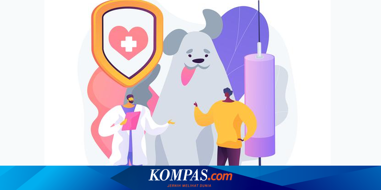 Pakar UGM Ungkap Penanganan Gigitan Anjing Liar di Daerah Endemis Rabies