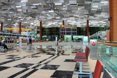 Bukan Sekadar Bandara, Taman Kupu-kupu sampai Berenang di Changi