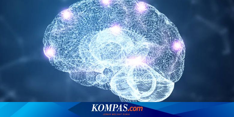 Comment les cellules du cerveau envoient-elles des messages ?