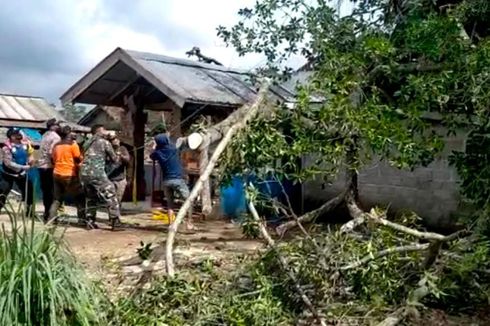 Pohon Roboh Timpa 1 Keluarga di Kediri, Ibu Tewas, Anaknya Terluka