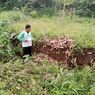 Pergeseran Tanah di Bandung Barat, 3 Rumah Terdampak, Semua Penghuni Mengungsi
