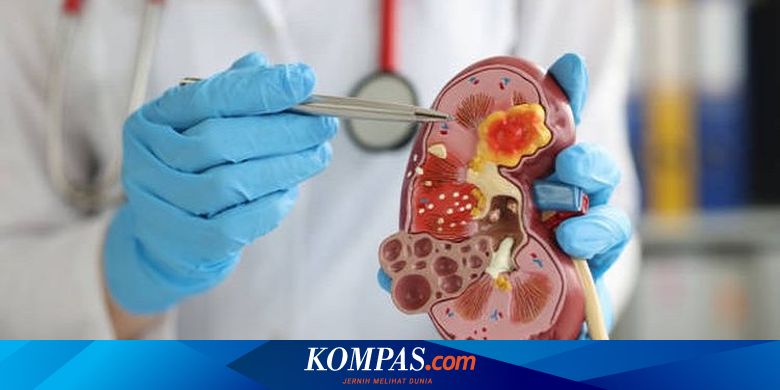 注意が必要な不健康な腎臓の兆候。腎臓の片方が疲れていることがよくあります。