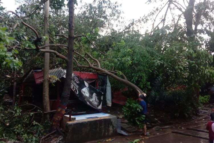Pohon tumbang menimpa warung, fasilitas umum, dan sempat menghambat akses jalan sesaat. Ada lima pohon tumbang di Tangsel pada Senin (19/9/2022) imbas hujan deras dan angin kencang yang melanda.