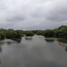 5 Tips Jalan-jalan ke Taman Wisata Alam Mangrove PIK Supaya Liburan Makin Asyik