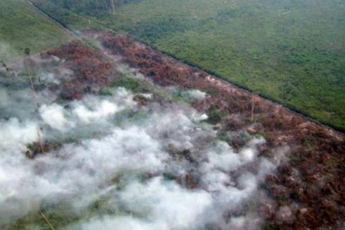 Rp 500 M, Anggaran Sementara Pemadaman Kebakaran Hutan di Riau