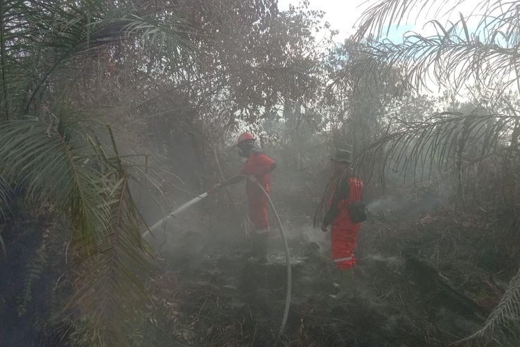 Petugas Manggala Pekanbaru memadamkan api karhutla di Desa Karya Indah, Kecamatan Tapung, Kabupaten Kampar, Riau, Jumat (4/8/2023).