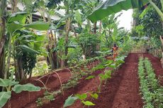 Tabel KUR BRI 2025 Pinjaman 100 Juta: Cek Cicilan Lengkap Mulai Rp 1 Juta