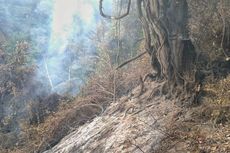 90 Persen Titik Api di Lereng Gunung Slamet Berhasil Dipadamkan