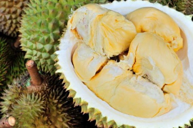 Durian Siak, Riau.