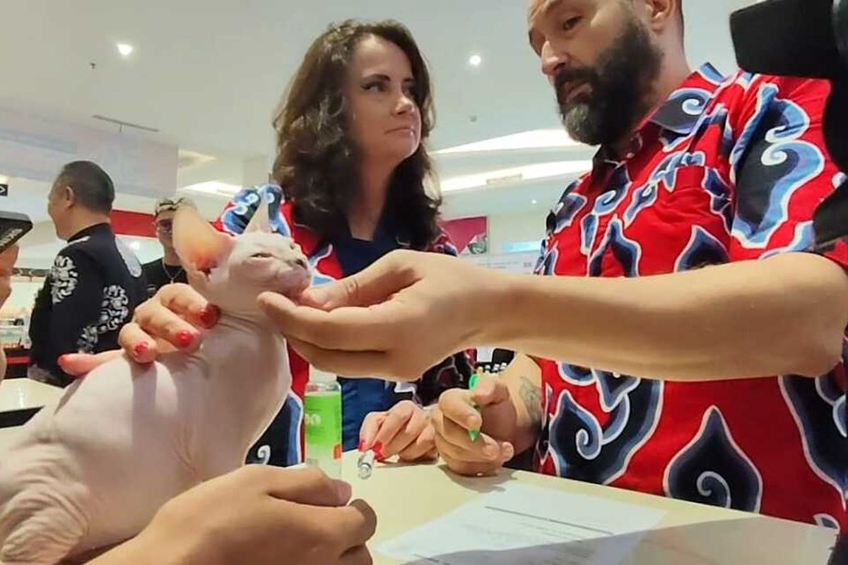 Dua juri internasional memberikan penilaian terhadap kucing yang ikut dalam ajang International Cat Show di salah satu pusat perbelanjaan di Kota Cirebon, pada Sabtu (5/10/2024) siang. ICA di Kota Cirebon merupakan rangkaian penutup kegiatan sepanjang tahun 2024 bertemakan Kucing Batikan.