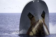 Kapal Sea Shepherd Selamatkan Sejumlah ABK Indonesia di Afrika Barat