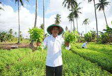 Berawal dari Menggarap Lahan Orang, Edi Kini Punya Tanah Sendiri Berkat KUR BRI