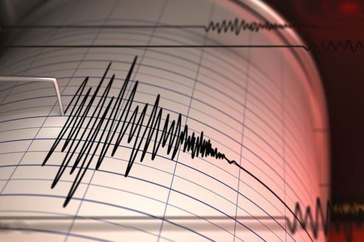 Gempa Magnitudo 3,1 Guncang Lombok Utara Hari Ini, Terasa hingga Mataram