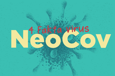 INFOGRAFIK: 4 Fakta NeoCov, Varian Baru Virus yang Tak Terkait Covid-19