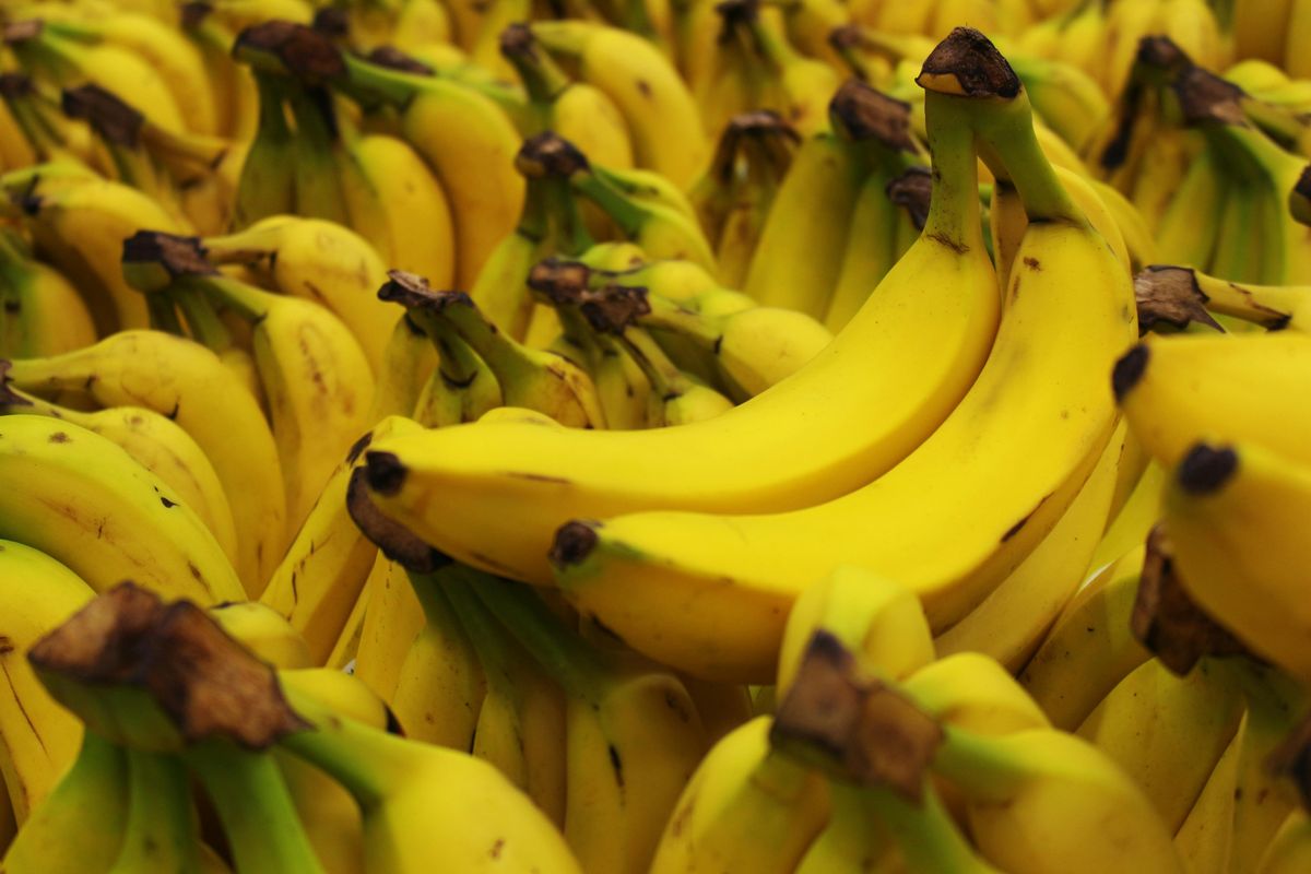 Ilustrasi pisang. 