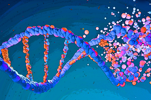 Fungsi dan Macam-Macam DNA