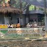 Warung Arborea, Kafe Unik di Tengah Hutan Jatijajar Depok