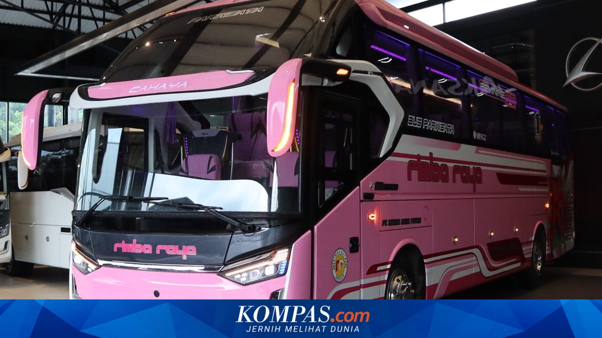 Bus Baru PO Rimba Raya, Tampil Genit Pakai Warna Pink