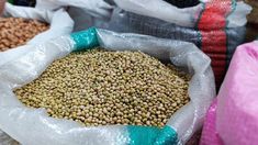 Ditinggalkan Petani, Lahan Kedelai di Ponorogo Menyusut dari 30.000 Jadi 351 Hektar
