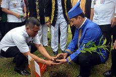 Pohon di Depan Kedaton Kesultanan Ternate Itu Diberi Nama “Cengkeh Buwas”