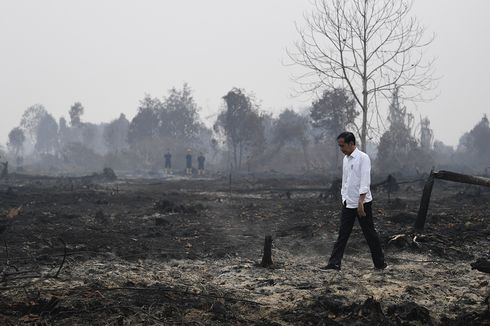  Kunjungi Lokasi Kebakaran Hutan dan Lahan di Riau, Ini 5 Pernyataan Jokowi...