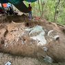 Sejarah Lokasi Penemuan Fosil Gajah Purba di Tritik Nganjuk Terungkap, Diduga Pernah Jadi Dasar Laut