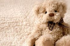 Pengantar Koran di AS Temukan Boneka Beruang Berisi Bom