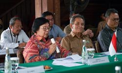 Rencanakan Rehabilitasi Mangrove, Pemerintah India Studi Banding ke Indonesia