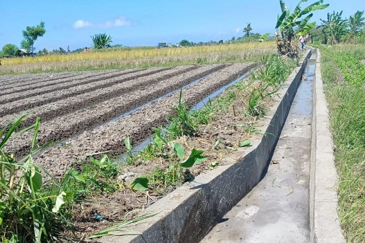 Jaringan Irigasi Tersier di Desa Angantaka, Kecamatan Abiansemal, Kabupaten Badung, Provinsi Bali.