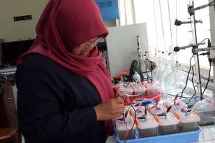 Salah satu mahasiswa Jurusan Teknik Lingkungan, Fakultas Teknologi Pertanian Universitas Brawijaya (Unibraw) Malang, Jawa Timur saat mencoba hasil penelitiannya membuat tegangan listrik dari lindi, Jumat (26/8/2016)