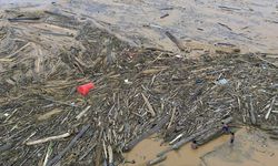 Viral Kayu Gelondongan Hanyut Saat Banjir, Kemenhut Telusuri Asalnya