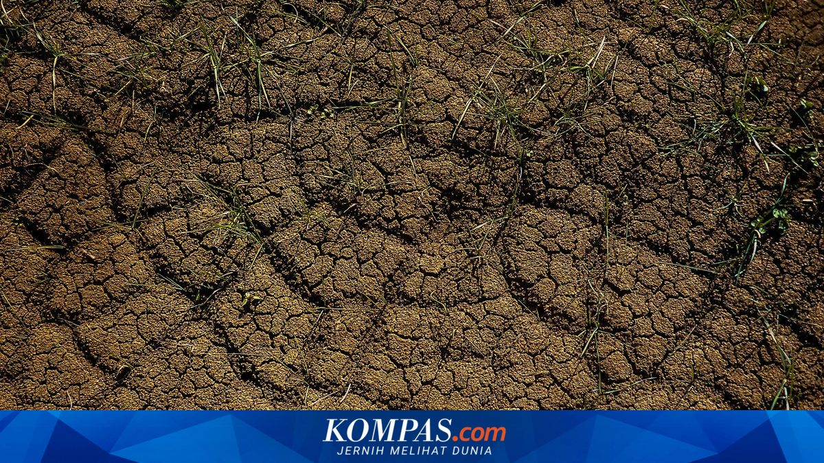 Jaksel dan Jaktim Masuk Zona Rawan Longsor, Ini Daftar Wilayah Waspada