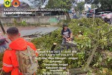 BMKG Ungkap Penyebab Angin Kencang Terjang 25 Lokasi di Bogor Raya