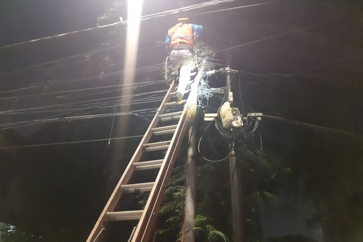 Petugas PLN sedang memastikan listrik menyala disalah satu tiang listrik dekat lokasi pohon tumbang diperumahan Kebon Raya, RT 001, RW 002 No 31 Duri Kepa, Jakarta Barat, Rabu (11/12/2019) 