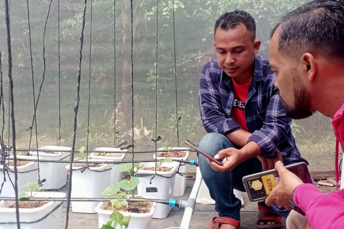 Rakhmat Hardiyanto (38) menggunakan teknologi pertanian yang diyakininya dapat meningkatkan produktivitas jambu kristal