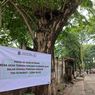 Puluhan Pohon di Kawasan Fatmawati Ditempel Kertas, Disebut Akan Ditebang untuk Pelebaran Jalan