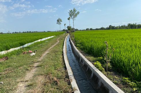 Mentan SYL: Irigasi Jadi Solusi untuk Tingkatkan Produktivitas Pertanian di Lampung