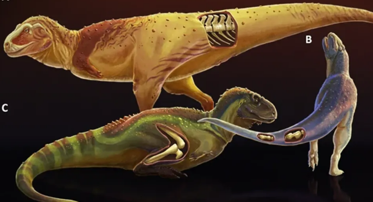 Dinosaurus Menderita Penyakit Tulang Artritis 90 Juta Tahun Lalu