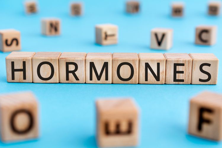 Ilustrasi hormon, hormon tidak seimbang, ciri-ciri hormon tidak seimbang, penyebab hormon tidak seimbang, cara mengatasi hormon tidak seimbang. 