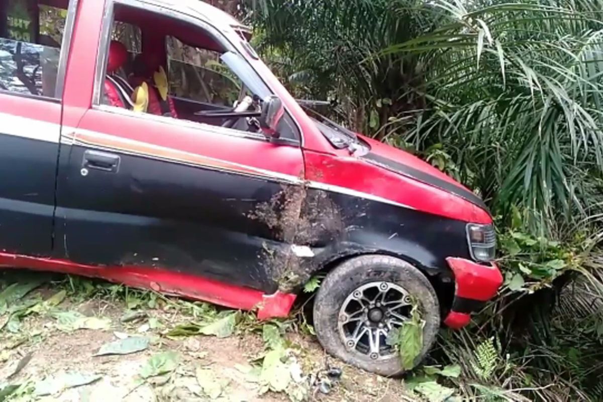 Diduga Ngantuk dan Rem Blong, Minibus Terbas Hutan Sawit Hingga Terperososk ke Jurang 30 Meter