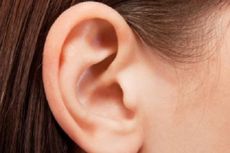 Ini Fungsi dan Bagian-bagian Telinga, Siswa Sudah Paham?