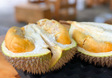 China Ingin Swasembada Durian