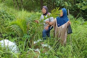 Warga Cigobang Merasa Tertipu, Dibilang Tanam Salak, Ternyata Sawit