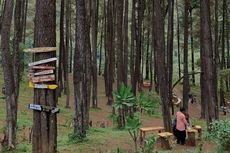 Libur Lebaran ke Madiun, Singgah di Hutan Pinus dan Monumen Kresek