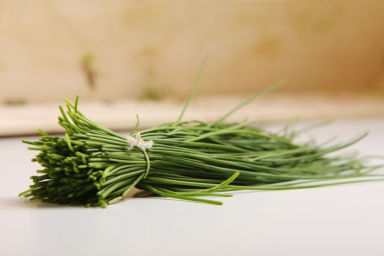 Ilustasi daun kucai potong atau chinese chives.