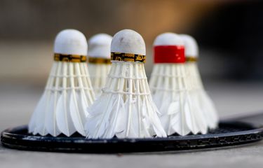 Ilustrasi bulu tangkis